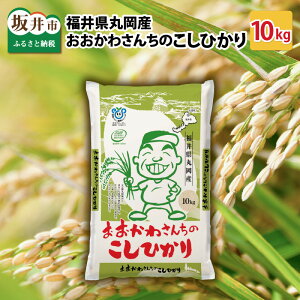 yӂ邳Ɣ[Łzyߘa7NYEVāz 킳񂿂̃RVqJ 10kg yRVqJ    10L uh Yz