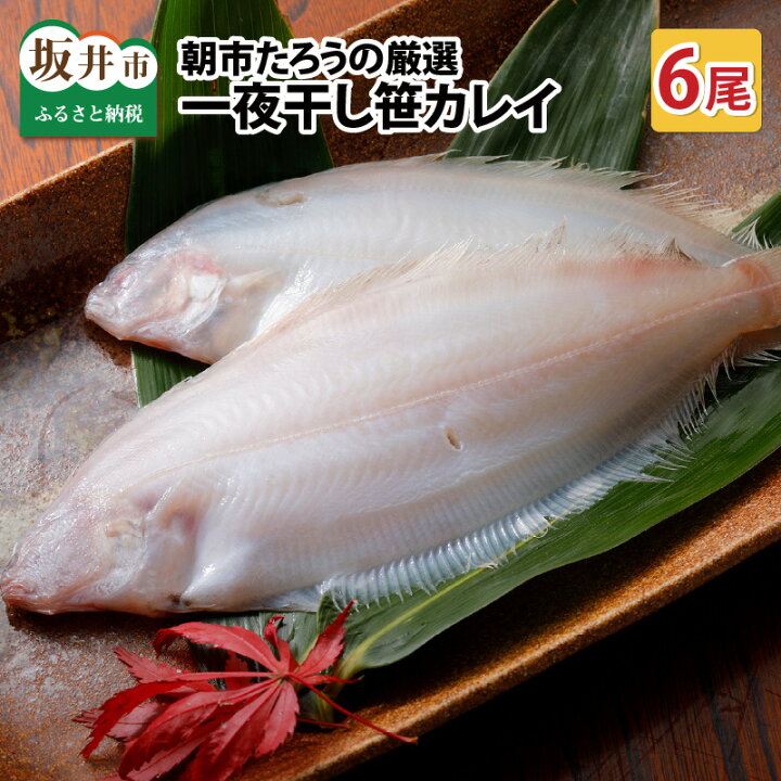 楽天市場 ふるさと納税 朝市たろうの厳選 一夜干し 笹カレイ 6尾 かれい 魚 干物 福井県坂井市