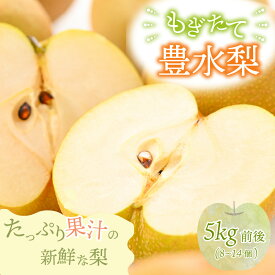 【ふるさと納税】【先行予約】【豊水梨】3kg前後 (5〜8個) / 5kg前後 (8〜14個) もぎたて！たっぷり果汁の新鮮な梨をお届け！【選べる内容量】【2026年8月下旬以降順次発送予定】【梨 なし フルーツ 甘い みずみずしい 果実 果物 新鮮 お土産 贈り物 旬の果物】