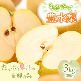 【ふるさと納税】【先行予約】【豊水梨】3kg前後 (5〜8個) / 5kg前後 (8〜14個) もぎたて！たっぷり果汁の新鮮な梨をお届け！【選べる内容量】【2026年8月下旬以降順次発送予定】【梨 なし フルーツ 甘い みずみずしい 果実 果物 新鮮 お土産 贈り物 旬の果物】