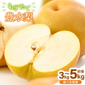 【ふるさと納税】【先行予約】【豊水梨】3kg前後 (5〜8個) / 5kg前後 (8〜14個) もぎたて！たっぷり果汁の新鮮な梨をお届け！【選べる内容量】【2026年8月下旬以降順次発送予定】【梨 なし フルーツ 甘い みずみずしい 果実 果物 新鮮 お土産 贈り物 旬の果物】