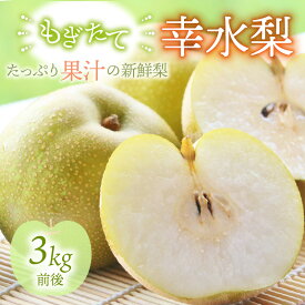 【ふるさと納税】【先行予約】【幸水梨】3kg前後 (5〜8個) / 5kg前後 (8〜14個) たっぷりの果汁を含んだジューシーな梨！【選べる内容量】【2025年8月上旬以降順次発送予定】【梨 なし フルーツ 甘い みずみずしい 果実 果物 新鮮 お土産 贈り物 旬の果物】
