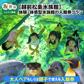 【ふるさと納税】 【越前松島水族館】 体験・体感型水族館の入館券プラン