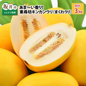 楽天市場 ま くわ うりの通販