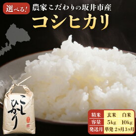 【ふるさと納税】【令和8年産】農家こだわりの坂井市産 コシヒカリ 【内容量：5kg / 10kg】【単発便は 2026年10月上旬以降順次発送】【選べる精米具合：白米 / 玄米】 【米 コメ お米 5キロ こしひかり ふるさと納税米 ブランド米 国産】