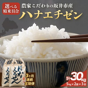 yӂ邳Ɣ[Łzyߘa7NYz_Ƃ̍sY niG`[ yeʁF5kg / 10kgzyIׂ鐸ċF / āz y R  ؉zO 5L 10L  ӂ邳Ɣ[ŕ u