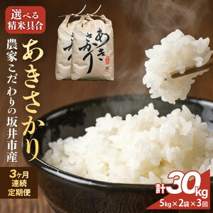 yӂ邳Ɣ[Łzyߘa7NYz_Ƃ̍sY  yeʁF5kg / 10kgzyIׂ鐸ċF / āz y R  5L 10L  ӂ邳Ɣ[ŕ uh 