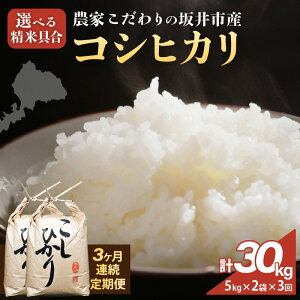 yӂ邳Ɣ[Łzyߘa7NYz_Ƃ̍sY RVqJ yeʁF5kg / 10kgzyIׂ鐸ċF / āz y R  5L Ђ ӂ邳Ɣ[ŕ uh Y