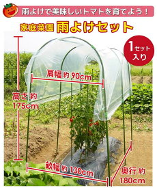【ふるさと納税】daim 家庭菜園 雨よけセット トマトやナスの雨よけに！【雨除けシート 雨よけ 雨除け シート 透明シート 家庭菜園用 ビニールハウス 家庭用 小型 ビニール トマト 園芸 家庭菜園 パイプ 農業資材 野菜栽培 防虫】