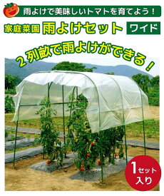【ふるさと納税】daim 家庭菜園雨よけセット ワイド 組み立て簡単！丈夫で長持ち！！【雨よけ 透明シート 雨除けシート 棚 雨除け トンネル 野菜 家庭菜園用 ビニールハウス 家庭用 小型 園芸 雨よけシート 雨除けハウス 家庭菜園 パイプ 農業資材 野菜栽培】