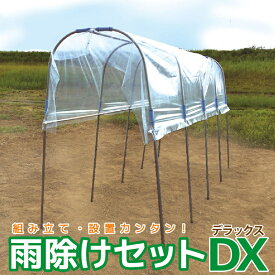 【ふるさと納税】daim 雨除けセットDX 組み立て簡単！丈夫で長持ち！！【トマト 棚 雨除け トンネル 野菜 家庭菜園用 ビニールハウス 家庭用 小型 ビニール シート ハウス 園芸 雨よけシート 野菜栽培 家庭菜園】