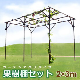 【ふるさと納税】daim ガーデンアグリ果樹棚セット 幅3m×奥行2m×高さ2m【藤棚 パーゴラ ガーデンアーチ ふじ棚 果樹棚 セット 果物棚 DIY キット 第一ビニール 雨よけ 雨除け 屋根 果樹 用 支柱 資材 栽培 ぶどう棚 葡萄棚】