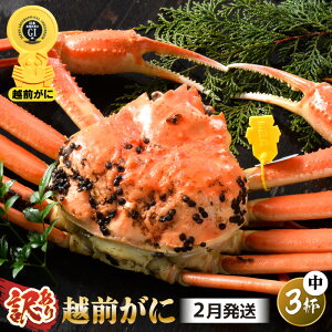 yӂ邳Ɣ[Łzys\zy󂠂z 䥂ŁuzOYCIv r܂ TCY 1`3t yIׂt / zy2025N11`2026N3\zy킯 PA Jj  I zOK