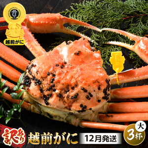 yӂ邳Ɣ[Łzys\zy󂠂z 䥂ŁuzOYCIv r܂ TCY 1`3t yIׂt / zy2025N11`2026N3\zy킯 PA Jj  I zOK