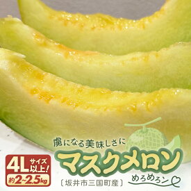 【ふるさと納税】【先行予約】 マスクメロン 4Lサイズ以上 1玉 （約2〜2.5kg） 虜になる美味しさにめろめろン 【2026年10月下旬以降順次発送予定】【メロン めろん フルーツ デザート 果物 くだもの 果実 青肉 糖度 甘い ジューシー お取り寄せ グルメ 産地直送】