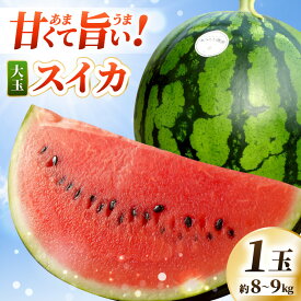 【ふるさと納税】【先行予約】 坂井市産 ハウススイカ 1玉入り 8～9kg (大玉) 一度食べたらやみつき！甘さと美味しさに心が弾む ハウススイカ！ 【2026年6月中旬以降順次発送予定】【スイカ 西瓜 すいか デザート 果物 くだもの 夏 甘い ジューシー 旬の果物 産地直送】
