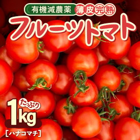 【ふるさと納税】 【先行予約】 有機減農薬 フルーツトマト 1kg 薄皮完熟 【2026年10月上旬以降順次発送予定】 【とまと ミディトマト 中玉トマト 野菜 やさい 新鮮 生食 アレンジ ジャム トマトソース サラダ 産地直送 国産】