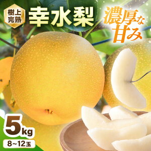 yӂ邳Ɣ[Łzys\z ݂_̗ yIׂiFK / Lz 1 5kg (8`12) y2026N8{ȍ~\z ㊮nIZȊÂɎ肪~܂ȂIy a