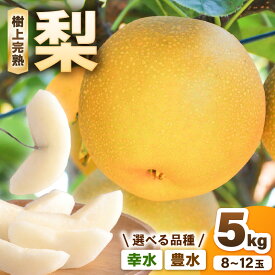 【ふるさと納税】【先行予約】 ゆみたか農園の梨 【選べる品種：幸水梨 / 豊水梨】 1箱 5kg入り (8～12玉) 【2026年8月中旬以降順次発送予定】 樹上完熟！濃厚な甘さに手が止まらない！【梨 和梨 赤梨 なし フルーツ 甘い みずみずしい 果実 果物 新鮮 旬の果物 産地直送】