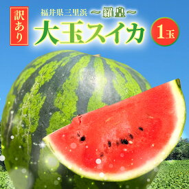 【ふるさと納税】先行予約 【訳アリ】大玉スイカ 1玉 6kg以上 〜羅皇〜 【2027年7月中旬より順次発送】【訳あり わけあり スイカ 西瓜 すいか デザート 果物 くだもの 夏フルーツ ジューシー お取り寄せ グルメ 産地直送】