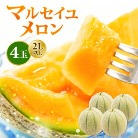 【ふるさと納税】 【先行予約】マルセイユメロン 2Lサイズ以上 × 2玉 / 4玉 (1玉あたり：約1.05～1.5kg) 【2026年6月上旬より順次発送】 福井県三里浜産 糖度15度 【メロン めろん フルーツ 旬 デザート 果物 果実 赤肉 糖度 甘い ジューシー お取り寄せ グルメ 産地直送】