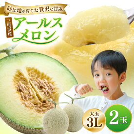 【ふるさと納税】 三里浜アールスメロン 3L以上 × 2玉 メロン めろん フルーツ 期間限定 数量限定 旬 デザート 果物 くだもの 果実 青肉 糖度 甘い ジューシー お取り寄せ グルメ 産地直送