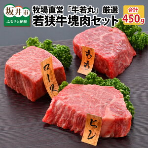 yӂ邳Ɣ[Łzq꒼cuہvI ዷZbg v450g / BBQ ₫ɂ ē