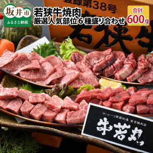 yӂ邳Ɣ[ŁzsY 䌧Y (Ya)ዷ ē I lC 6퐷荇킹 v600g