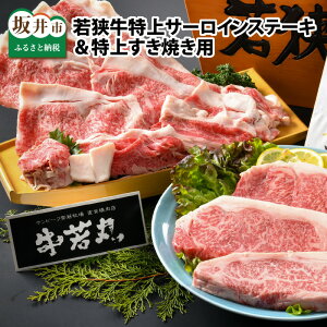 yӂ邳Ɣ[Łz(Y a) sY 䌧Y ዷT[CXe[L 300g×3  シĂp 800g