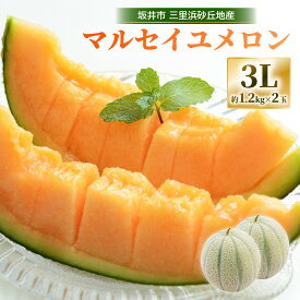 【ふるさと納税】【先行予約】 坂井市三里浜砂丘地産 マルセイユメロン 2玉（1玉 約1.2kg前後） 【2026年6月中旬以降順次発送予定】 【メロン めろん フルーツ デザート 果物 くだもの 果実 赤肉 糖度 甘い ジューシー お取り寄せ グルメ 産地直送 】