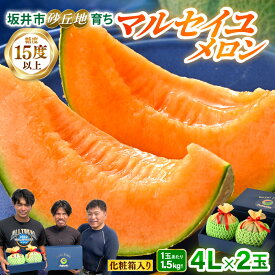 【ふるさと納税】【先行予約】坂井市砂丘地のマルセイユメロン 4L 2玉 化粧箱入り 【2027年6月中旬以降順次発送予定】 【メロン めろん フルーツ デザート 果物 くだもの 果実 赤肉 糖度 甘い ジューシー お取り寄せ グルメ 産地直送 贈答 ギフト 贈り物】