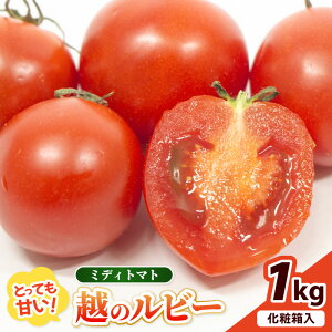 yӂ邳Ɣ[Łzys\zsun̂ƂĂÂ t[cg}g z̃r[ 1kg ϔ y2025N10{ȍ~zyg}g ~jg}g  lC VN Yn Â 