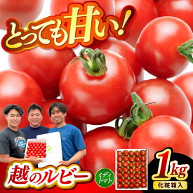 【ふるさと納税】【先行予約】坂井市砂丘地のとっても甘い フルーツトマト 越のルビー 1kg 化粧箱入り 【2026年10月上旬以降順次発送】【トマト ミニトマト 野菜 人気 新鮮 産地直送 甘い 高糖度 食べやすい リコピン ビタミン ダイエット 美容 美肌 ギフト 贈り物 贈答】