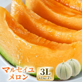 【ふるさと納税】【先行予約】三里浜砂丘地産 マルセイユメロン（赤肉メロン）3L 2玉入り（1玉：約1〜1.3kg） 【2027年6月上旬以降順次発送予定】【メロン めろん フルーツ デザート 果物 くだもの 果実 赤肉 糖度 甘い ジューシー お取り寄せ グルメ 産地直送 】