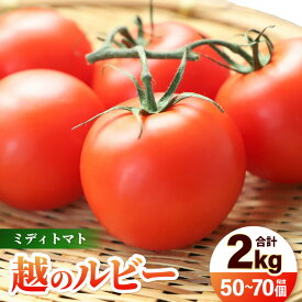 【ふるさと納税】【先行予約】 三里浜砂丘地産 越のルビー（ミディトマト）甘くておいしい中玉トマト 約2kg 【2027年6月上旬以降順次発送予定】 【トマト とまと 中玉とまと リコピン 豊富 野菜 生野菜 甘い 高糖度 産地直送 国産】