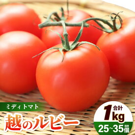 【ふるさと納税】【先行予約】 越のルビー (ミディトマト) 約1kg (25～35個程度) 糖度8度 三里浜砂丘地産 甘くておいしい中玉トマト 【2027年6月上旬以降順次発送予定】 【トマト とまと 中玉とまと リコピン ブランド 豊富 野菜 生野菜 甘い 高糖度 産地直送 国産】