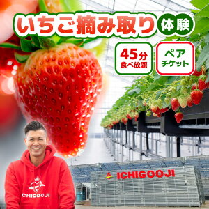 yӂ邳Ɣ[Łzyӌz45HוIICHIGOOJÎEݎ̌ yA`Pbg yC`S  ͕P gق  {̖o p `Pbg ό ̌ sz
