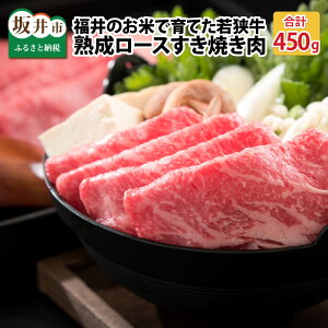 yӂ邳Ɣ[ŁẑĂňĂ쑺̎ዷ un[XĂv 450g 肵tyĂp [X ዷ Ya јa јa uh a   