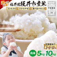 【福井県坂井市】送料無料！ 肥沃な土壌と清らかな水に育まれた自慢のお米