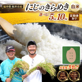 【ふるさと納税】 米 単品 定期便 【先行予約】【令和8年産・新米】 坂井市産 にじのきらめき (田中農園) 5kg / 10kg 【選べる内容量・発送回数】 【2026年10月以降順次発送予定】 定期便 3ヶ月 6ヶ月 12ヶ月定期便 米 こめ お米 精米 ブランド米 国産 ふるさと納税米