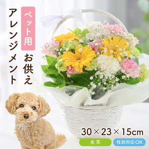 【ふるさと納税】 ペット用御供アレンジメント 1点 性別対応可能 【お花 フラワー アレジメント 花束 生花 花 洋花 ペット 愛犬 愛猫】