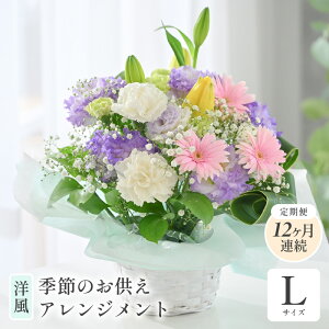 yӂ邳Ɣ[Łz G߂̂t[AWg Iׂ3TCY (S/M/L) yIׂz񐔁FPi / ցzyAWFm / az y t[ ԑ Mtg  v[g 