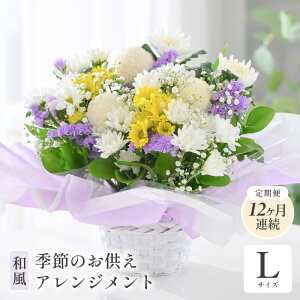 yӂ邳Ɣ[Łz G߂̂t[AWg Iׂ3TCY (S/M/L) yIׂz񐔁FPi / ցzyAWFm / az y t[ ԑ Mtg  v[g 