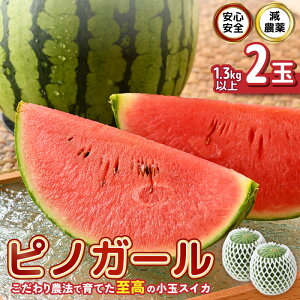 yӂ邳Ɣ[Łzys\z SSI_I_@ňẴsmK[ (ʃXCJ) yIׂeʁF1 / 2ʁz 1ʂF1.3kgȏ y2026N7{ȍ~\