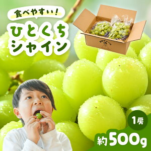 �y�ӂ邳�Ɣ[�Łz �y��s�\��z �V���C���}�X�J�b�g �ЂƂ����V���C�� ��500g 1�[ �y2026�N8�����{�ȍ~���������\��z �y�}�X�J�b�g �u�h�E �Ԃǂ� ���� �ʕ� �������� �t���[�c �ʎ� �V�N ��