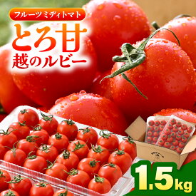 【ふるさと納税】 【先行予約】 とろ甘 越のルビー 1.5kg 高糖度ミディトマト 【2026年10月上旬以降順次発送予定】 【とまと トマト ミディトマト ブランド品種 野菜 生野菜 美容 健康 新鮮 産地直送 国産】