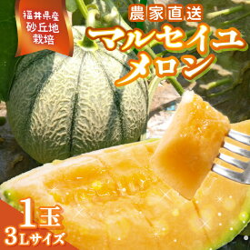 【ふるさと納税】【先行予約】農家直送 砂丘地栽培 赤肉メロン 福井県産 マルセイユメロン 3Lサイズ 1玉【2027年6月上旬以降順次発送予定】