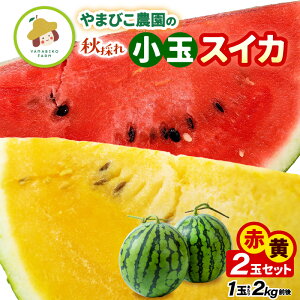 yӂ邳Ɣ[Łzys\z܂т_̏H̐ԂƉ̏ʃXCJ Hה׃Zbg v2ʓ (1ʓF2kgO) y2026N9{ȍ~\z yXCJ Z   fU