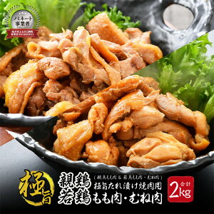 yӂ邳Ɣ[ŁzɎ|Ђēp e 500g × 2 & ᒹނ˓ E500g × 2܁iv2kgjye{ { Ђˌ{ ql{ {  l  Ƃ  { Ƃ͂ 