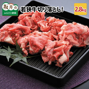 yӂ邳Ɣ[Łz sY 䌧Y (Y a)ዷ؂藎Ƃ 2.8kg prFXIX^~iUPINI